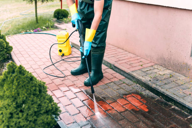 Best Driveway Cleaning and Restoration in Hutchinson, MN